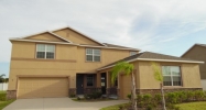 10829 Carloway Hills Dr Wimauma, FL 33598 - Image 14778806