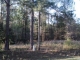 0 Coxstill Road Adel, GA 31620 - Image 14819574