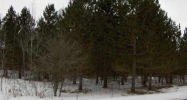 0 Trails End & Nokomis St Mackinaw City, MI 49701 - Image 14877829