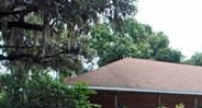 106 Myrtle Ridge Rd Lutz, FL 33549 - Image 14880987