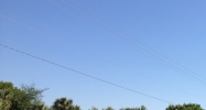 FL Tampa, FL 33619 - Image 14885852