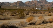 Chollita Rd. Joshua Tree, CA 92252 - Image 14954133