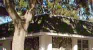 1901 Dr Martin Luther King Jr St N Saint Petersburg, FL 33704 - Image 14992302