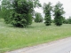 Lot 17 Waterwood Ct White Pine, TN 37890 - Image 15049856