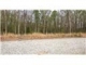 # Abbeyfield Lot 2 Maidens, VA 23102 - Image 15071241