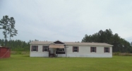 309 Hummingbird Ln Ludowici, GA 31316 - Image 15105354