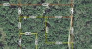 Bee Tree Rd Inglis, FL 34449 - Image 15105598