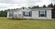 12865 Jeddo Rd Yale, MI 48097 - Image 15244759