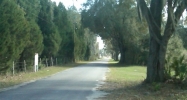 CR313 Bushnell, FL 33513 - Image 15313140