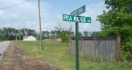 Pea Ridge Rd. and Erin Lindsey Ln. Albany, LA 70711 - Image 15389439