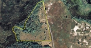 NORTHEAST 3RD CT Citra, FL 32113 - Image 15404302