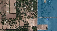 Fl. Fruitland Park, FL 34731 - Image 15404557