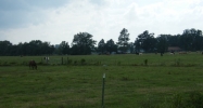 Ward III School Road Winnsboro, LA 71295 - Image 15404715