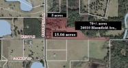 26010 Bloomfield Ave Yalaha, FL 34797 - Image 15413027