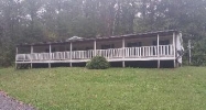 570 Bill Miller Rd Spring City, TN 37381 - Image 15425157