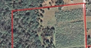 0 Wauchula Rd Myakka City, FL 34251 - Image 15431070