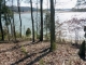 Lot 63R 420 Chelaque Way Mooresburg, TN 37811 - Image 15460408