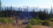 2357 Highland Drive Homer, AK 99603 - Image 15574945