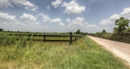 0 Howell Rd Waller, TX 77484 - Image 15667476