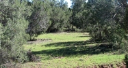 202 Cathedral Valley Ash Fork, AZ 86320 - Image 15673406