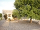 142 N Cholla Dr Pearce, AZ 85625 - Image 15683096