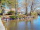 202 Locust Grove Lane Kilmarnock, VA 22482 - Image 15702229