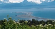 276 Tulin Terrace Drive Homer, AK 99603 - Image 15714189