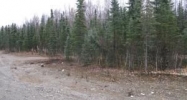 754 N Irish Setter Circle Wasilla, AK 99654 - Image 15722624