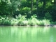 Lot 8 Rocky River Shores Rock Island, TN 38581 - Image 15804896