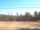 000 Hwy 56 Calico Rock, AR 72519 - Image 15961776