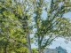 186 Stoney Cove Ln Cummaquid, MA 02637 - Image 16026673