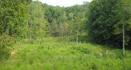 30 AC. WILLOW GROVE HWY. Allons, TN 38541 - Image 16035705