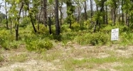 Lot 26 Royal Tern Way Carrabelle, FL 32322 - Image 16092918