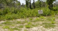 Lot 15 Royal Tern Way Carrabelle, FL 32322 - Image 16092919