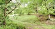 Highway 310 Etowah, TN 37331 - Image 16096586