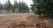 5501 Clearwater Drive Homer, AK 99603 - Image 16106542