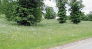 Lot 17 Waterwood Ct White Pine, TN 37890 - Image 16140679