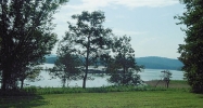 Lot 19 Blount Circle Rutledge, TN 37861 - Image 16203376