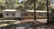 951 Little Buffalo Creek Rd Nahunta, GA 31553 - Image 16220064