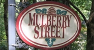 3016 Mulberry Street Ne Marietta, GA 30066 - Image 16256494