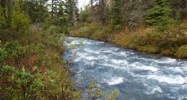 L6B2 River Circle Eagle River, AK 99577 - Image 16259908