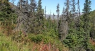 L2B1 West River Drive Eagle River, AK 99577 - Image 16259904