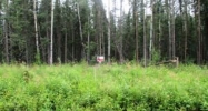 1391 W Woodpecker Circle Wasilla, AK 99654 - Image 16264198