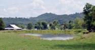 400 acres Taylor Rd Rutledge, TN 37861 - Image 16265293