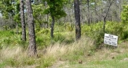 Lot 31 Royal Tern Way Carrabelle, FL 32322 - Image 16265408