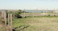 4525 SWAN ST Hitchcock, TX 77563 - Image 16273659