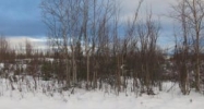 13866 W Moonrise Drive Big Lake, AK 99652 - Image 16277781