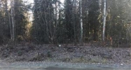 3767 S Mink Street Big Lake, AK 99652 - Image 16290543