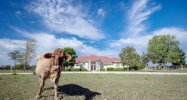 3338 Duderstadt Rd Harper, TX 78631 - Image 16304111