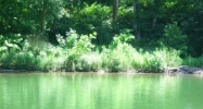 Lot 8 Rocky River Shores Rock Island, TN 38581 - Image 16305166